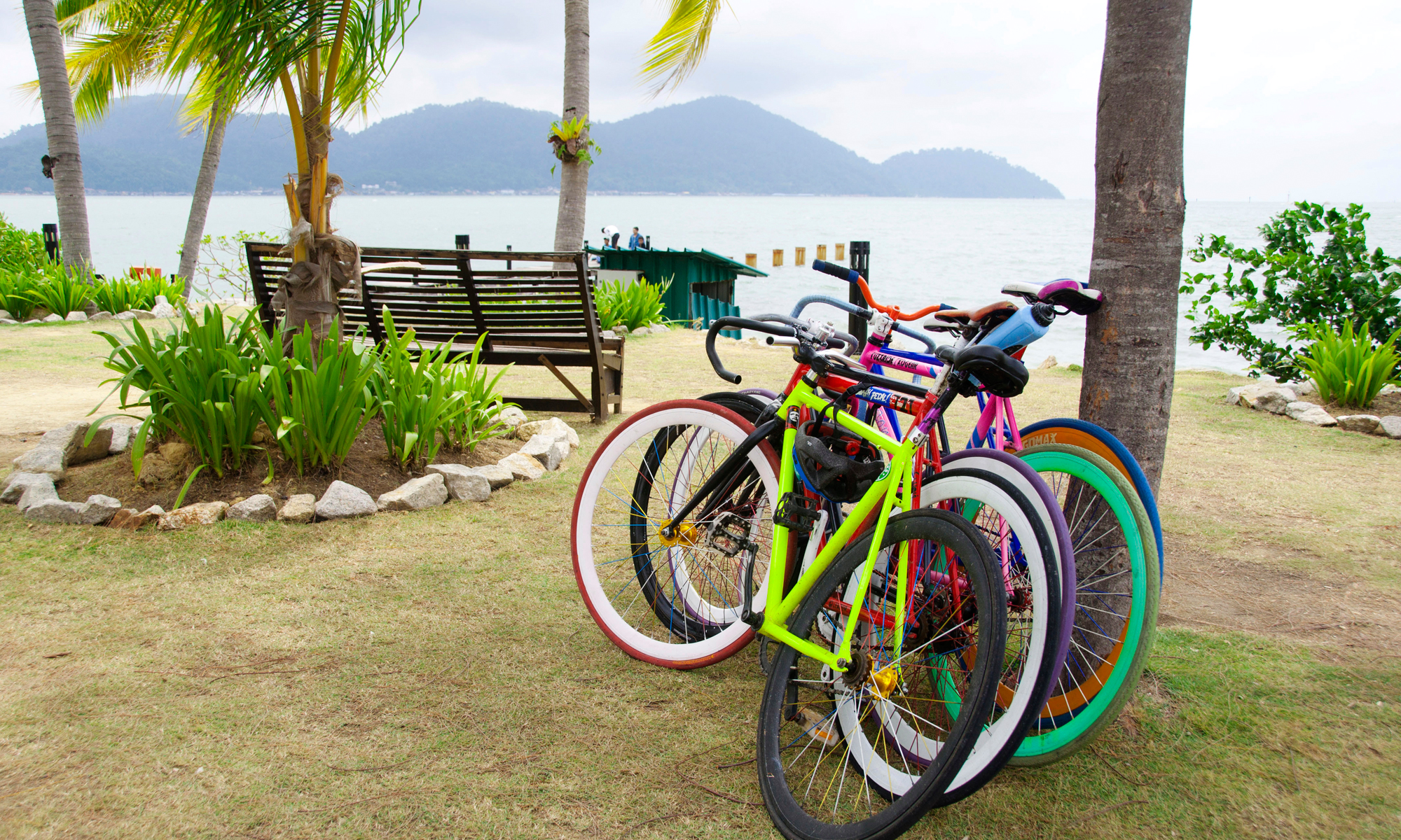 Wordpress banner image 5.jpg