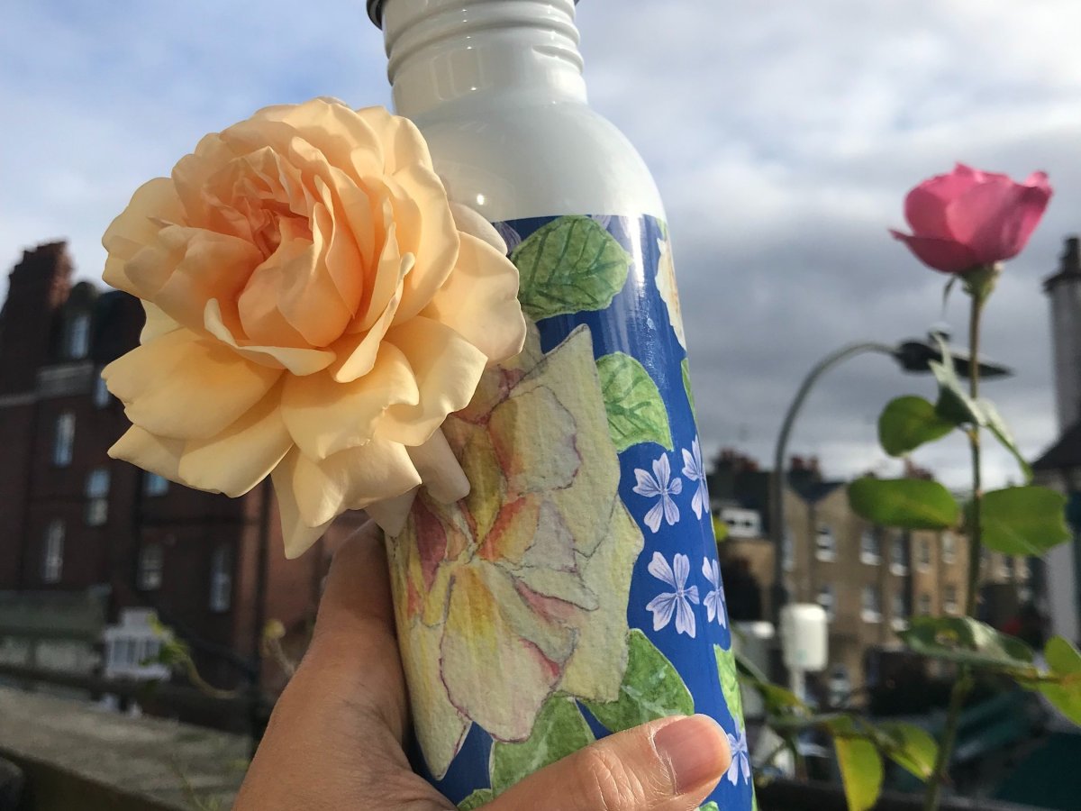 The Old Boy Rose and the Silk Road&nbsp;blue